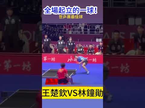 孙颖莎深圳,之旅,感慨深大俱,美加墨世界杯,世界杯2026,北美世界杯,美加墨联合举办,世界杯新闻,世界杯赛程,2026年世界杯,足球盛会,国际足联,体育赛事